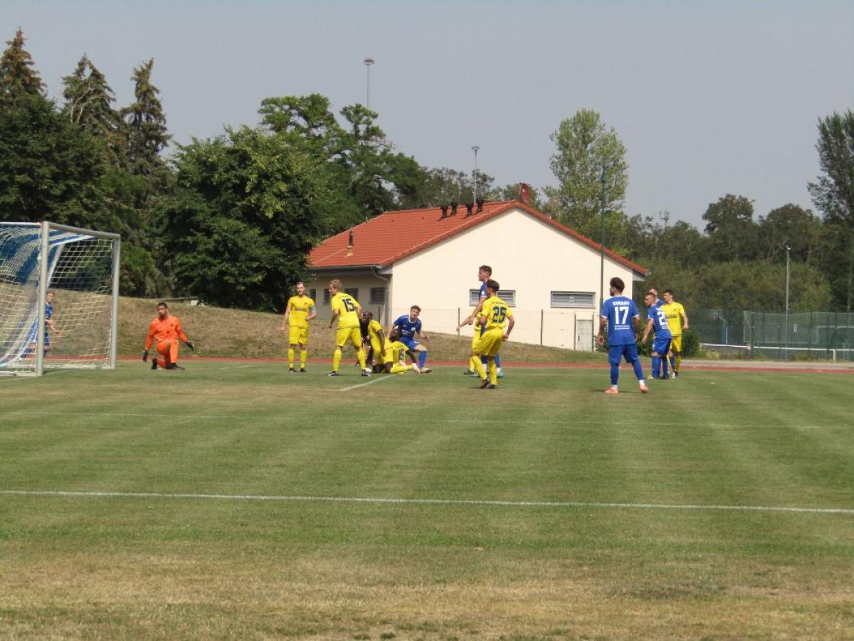 Bild: SSC Weißenfels - SV Blau-Weiß Zorbau 3:2 - 006