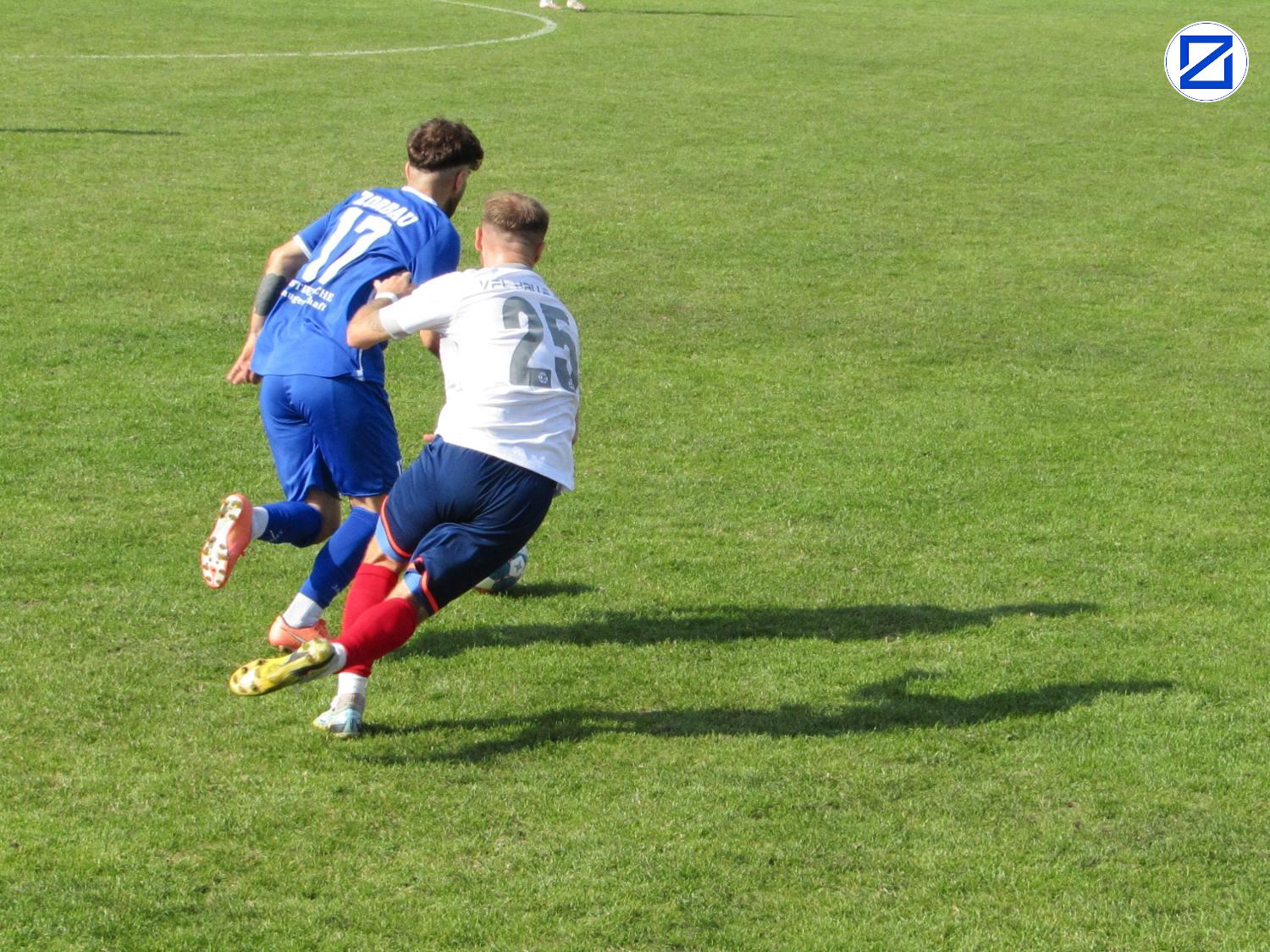Bild: VfL Halle 96 - SV Blau-Weiß Zorbau 0:3 (0:0) - Vfl Halle006
