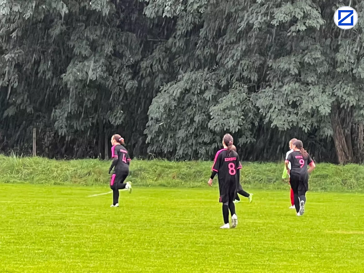 Bild: D-Juniorinnen Landesturnier - Turnier002
