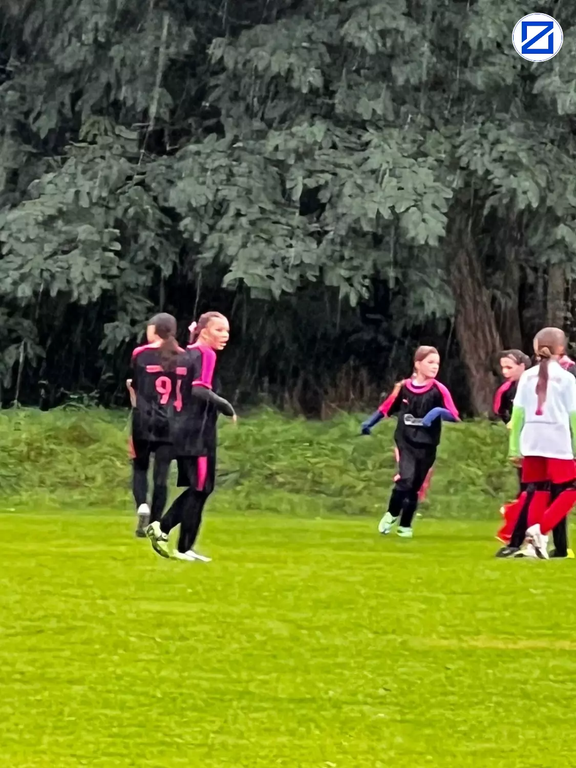 Bild: D-Juniorinnen Landesturnier - Turnier004
