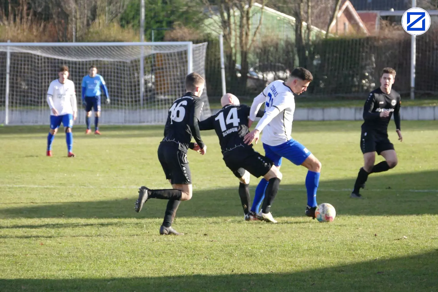Bild: SV Blau-Weiß Zorbau – FSV Budissa Bautzen 1:2 (1:1) - Zorbau Bautzen2016