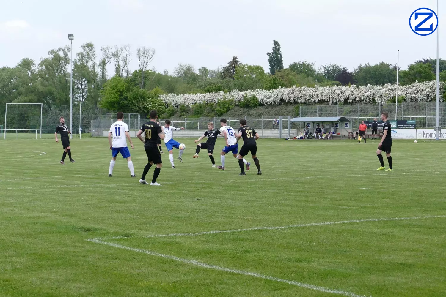 Bild: SV Blau-Weiß Zorbau - SV Freital 0:2 (0:1) - Zorbau Freital008
