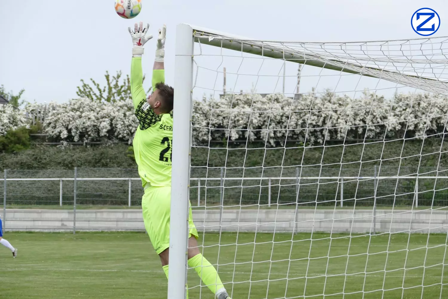 Bild: SV Blau-Weiß Zorbau - SV Freital 0:2 (0:1) - Zorbau Freital009