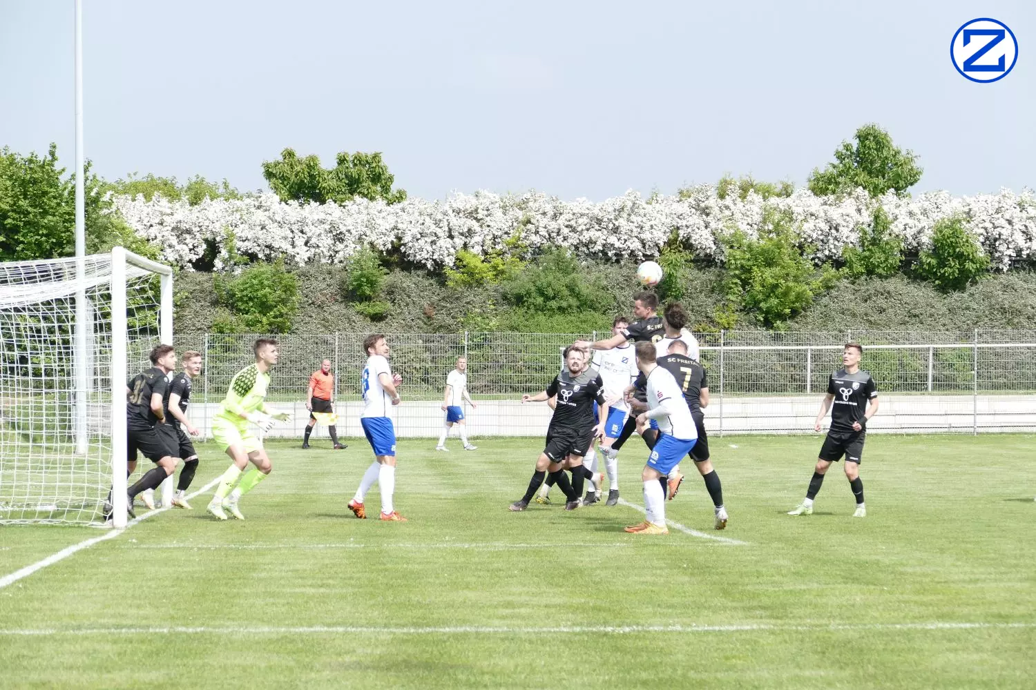 Bild: SV Blau-Weiß Zorbau - SV Freital 0:2 (0:1) - Zorbau Freital039