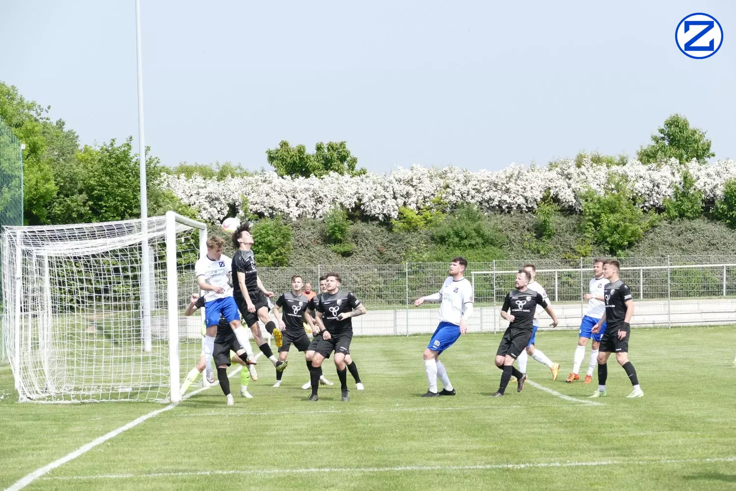 Bild: SV Blau-Weiß Zorbau - SV Freital 0:2 (0:1) - Zorbau Freital040