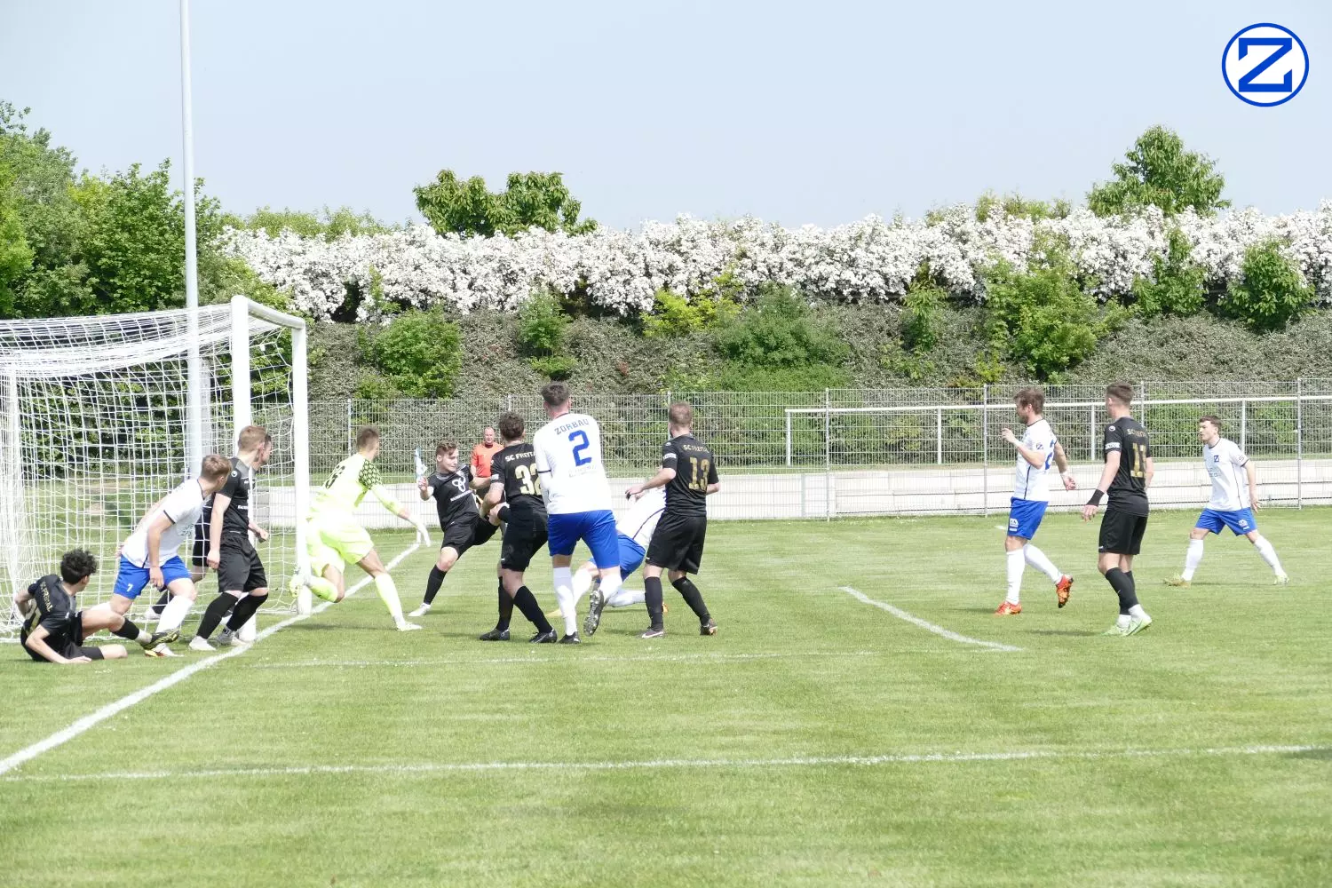 Bild: SV Blau-Weiß Zorbau - SV Freital 0:2 (0:1) - Zorbau Freital041