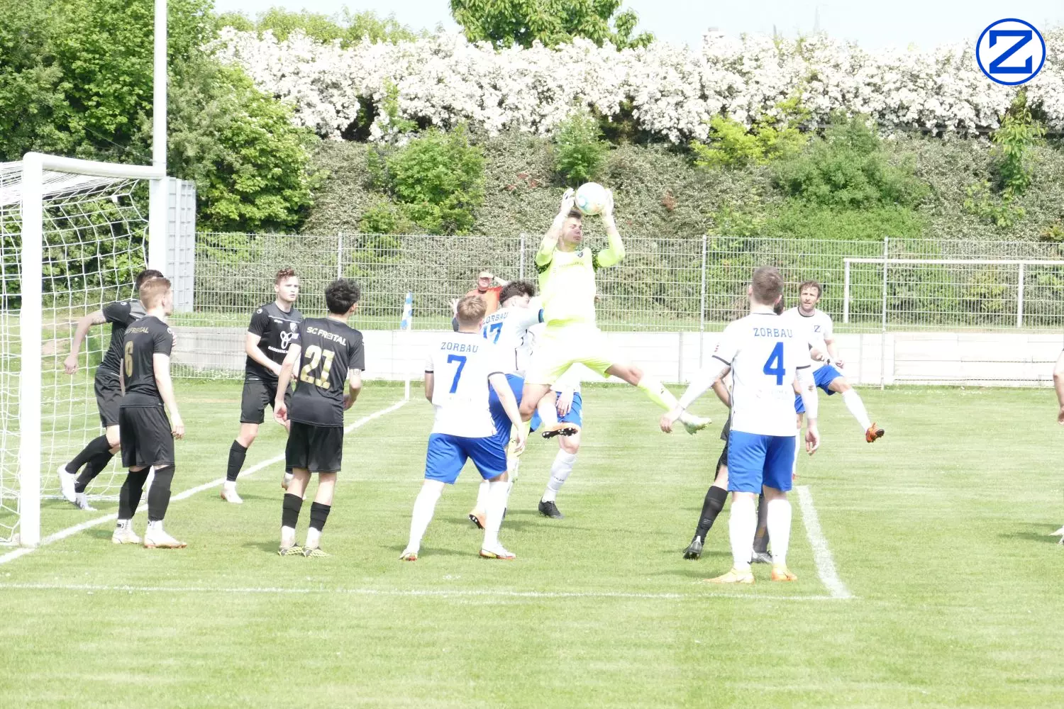 Bild: SV Blau-Weiß Zorbau - SV Freital 0:2 (0:1) - Zorbau Freital046